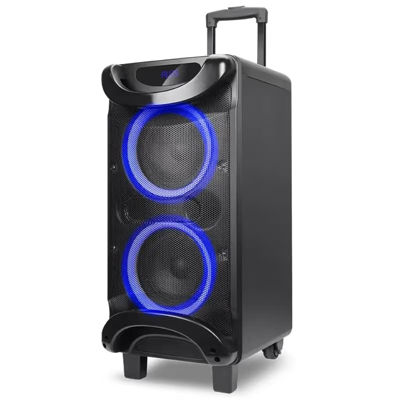 Enceinte Gold Sound GS L 0622 - Noir 1