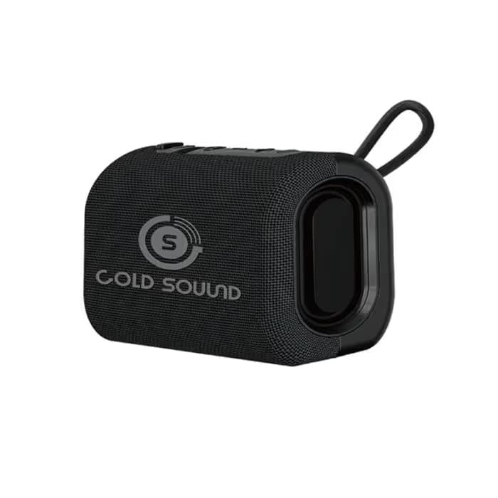 Enceinte Gold Sound GS 21 - Noir 1