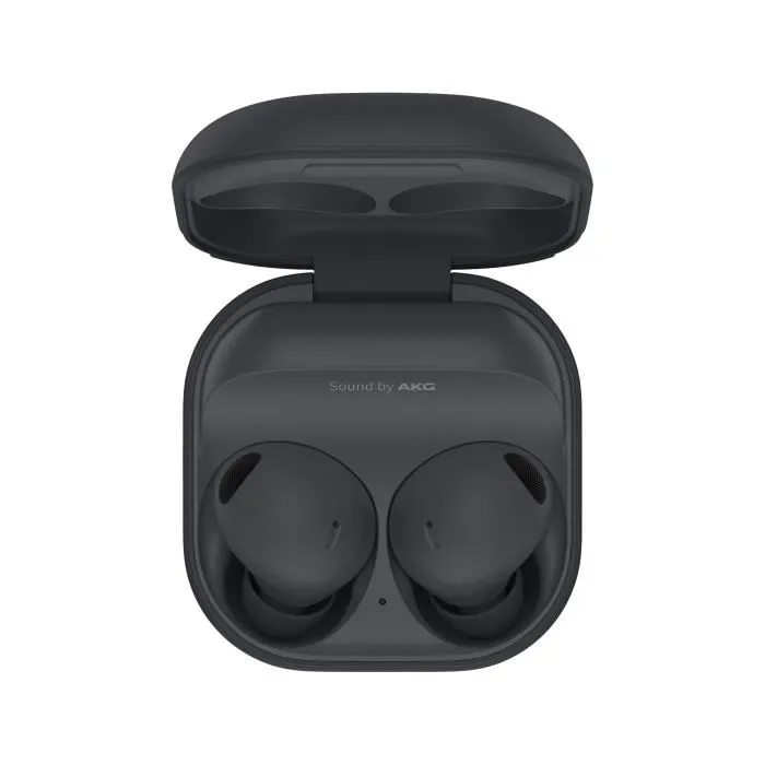 Samsung Galaxy Buds2 Pro Anthracite