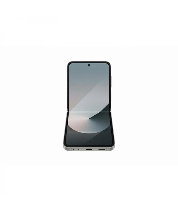 Samsung Galaxy Z Flip 6 Gris 256 Go