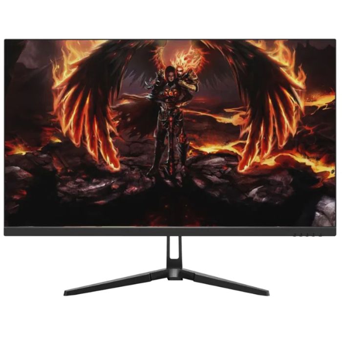 Ecran Gaming AERO QG25DFA 24.5" Full HD 240HZ