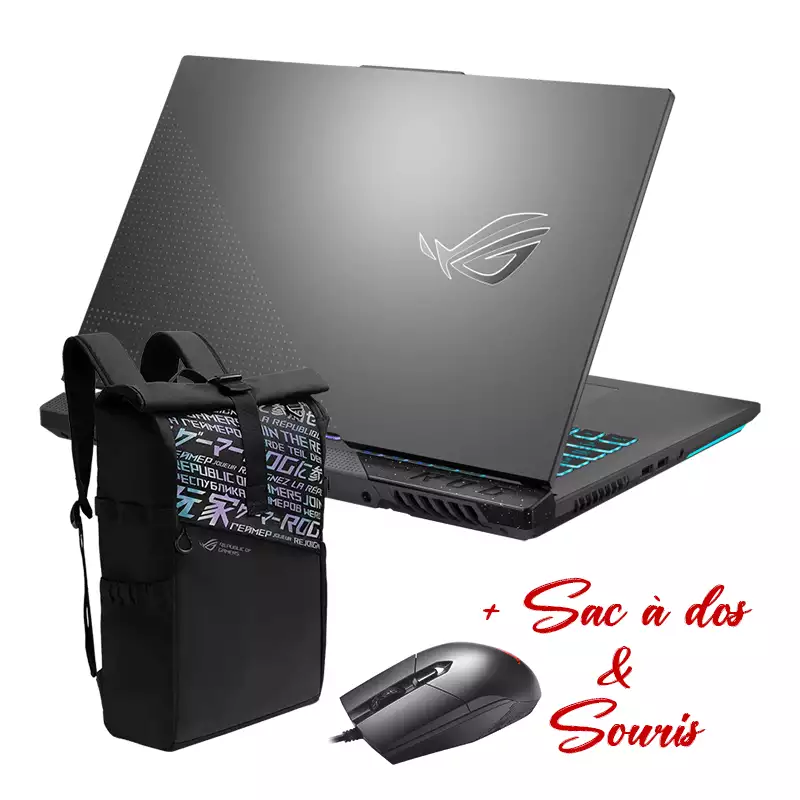 Pc Portable Gamer Asus ROG Strix G17 G713PV-LL188W 17.3"FHD 16Go 1To SSD