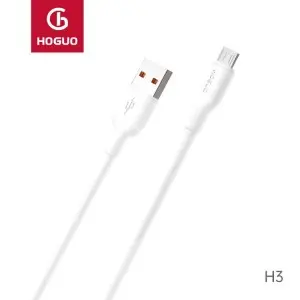 Câble de Chargeur Hoguo  H3-Micro 100W