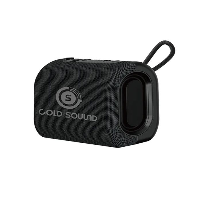 Enceinte Gold Sound GS 21 Noir