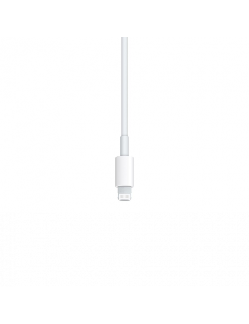 Cable de charge Apple USB-C vers Lightning 1M - Blanc - MM0A3ZM/A