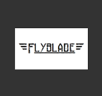 Hoverboard Électrique Flayblade FB02A - Noir