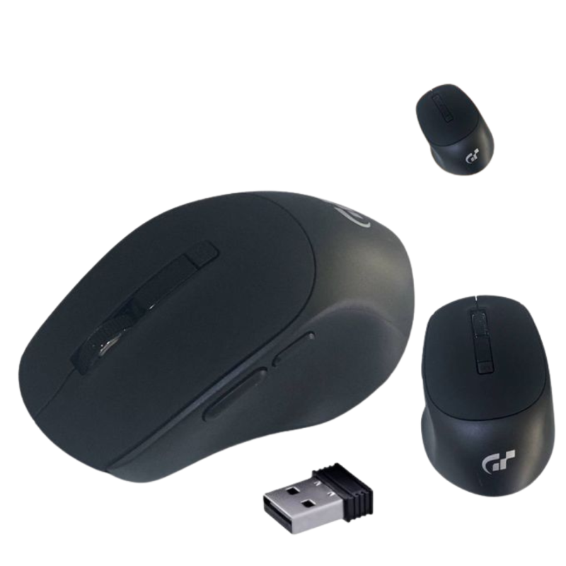 Souris sans fil WM1081 Noir