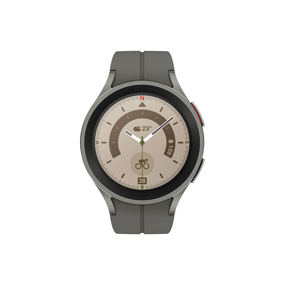 Montre connectée Samsung Galaxy Watch 5 Pro 45 mm - Gris