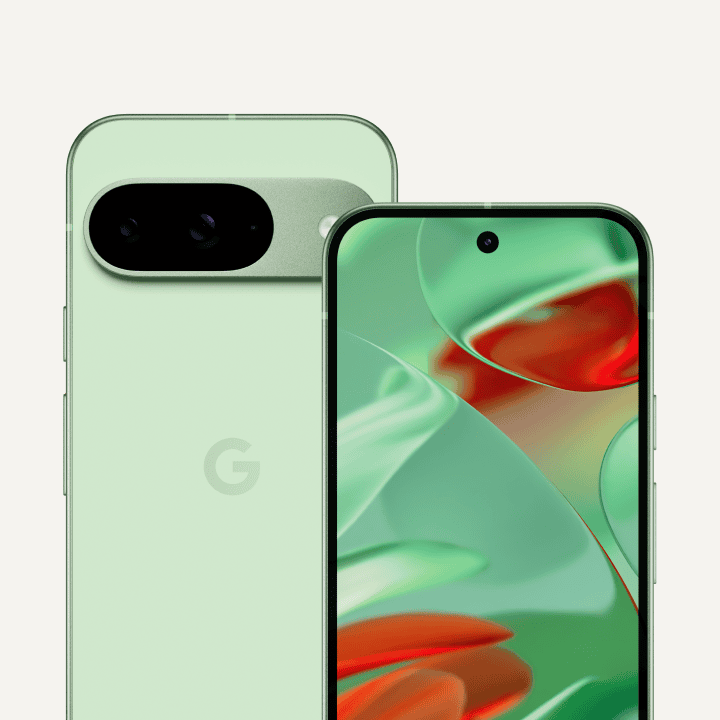 Smartphone Google Pixel 9 12Go - 256Go Vert Amande