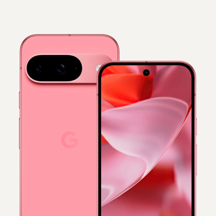 Smartphone Google Pixel 9 12Go - 256Go Rose Pivoine