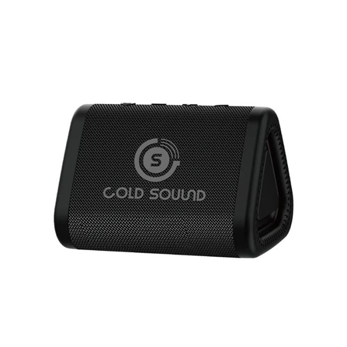 Enceinte Gold Sound GS 2240B Noir